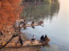 -东湖落雁景区