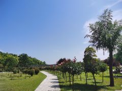 -西峡恐龙遗迹园