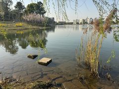 -美兰湖景区