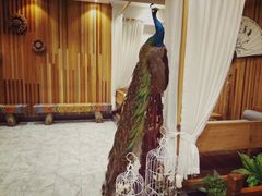 -小天厨民间菜馆(深圳街店)