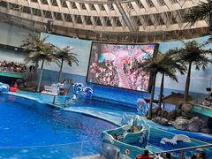 -海合安成都极地海洋公园