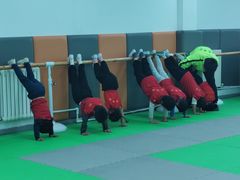 -武术世家少儿培训中心(首都体育学院店)