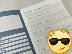 -申普宠物医院·心脏介入·心血管微创(总院)