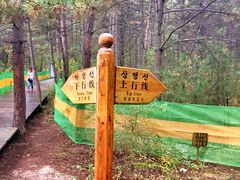 -帽儿山国家森林公园