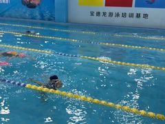 -宝德龙游泳健身