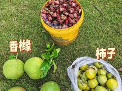-阳澄湖半岛旅游度假区