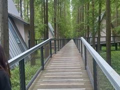 -黄海国家森林公园