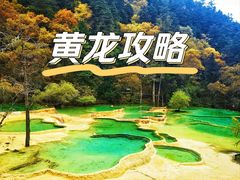 -黄龙山原始森林景区