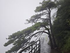 -明堂山风景区