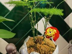 -BoBloom花店(晶耀前滩店)