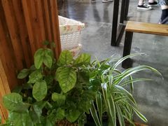 大堂-仙峰天然面包(迎宾路店)
