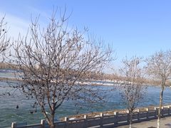 -伊犁河风景区