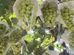 -镇江润扬大桥酒店