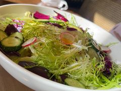 -向川南·水煮鱼·川菜(和平里店)