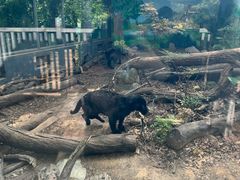 -昆明动物园