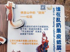 -佛慧山