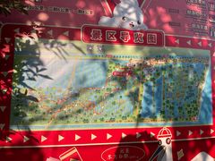 -大湾区中央湿地公园