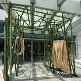  夏日新中式奶茶，我只服这个！