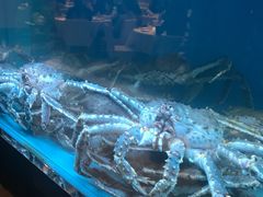 -金悦轩海鲜酒家(银河店)