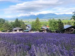 -富田农场