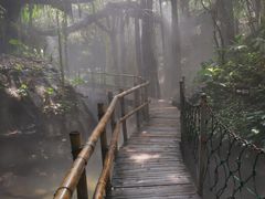 -青青世界