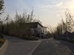 -水月周庄铂尔曼酒店 · 漾全日餐厅
