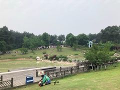 -铁山坪森林公园