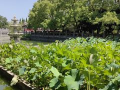 -洛阳白马寺