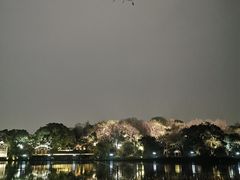 -杭州西湖风景名胜区-北街寻梦