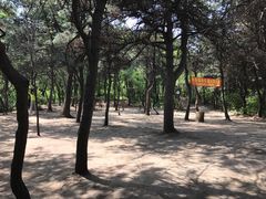 -高尔山公园