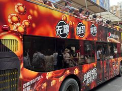 -BUS TOUR观光巴士