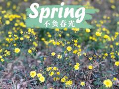 -北宫国家森林公园