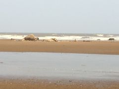 -南澳海滩