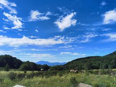 -白草畔自然风景区