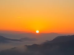 -正宗鸡饭粤香酒家(朱村店)