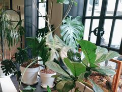 -一尺花园(安和花园店)