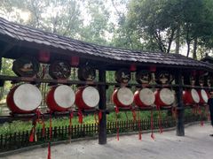 -合肥滨湖国家森林公园