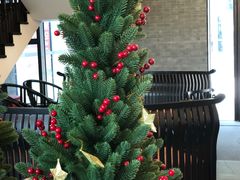 -星巴克(南宁民歌湖店)