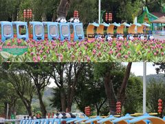 -东南花都花博园