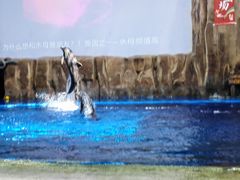 -华夏文旅海洋公园