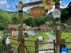 -龙岩森林水乡景区