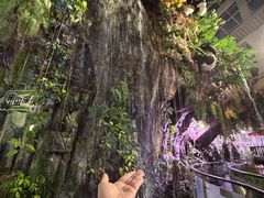 -正佳雨林生态植物园