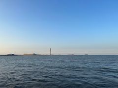 -上海吴淞炮台湾国家湿地公园