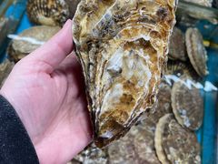 碳烤生蚝-丁字口海鲜热炒·烧烤大排档