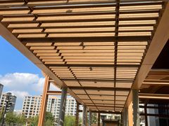 -梧桐人家中国太平国际健康颐养社区