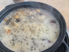 -蘑统田下·野生菌火锅