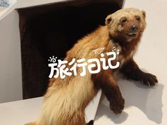 -重庆自然博物馆(新馆)