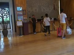 -三亚湾红树林度假世界(木棉酒店)