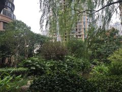 -新湖明珠城