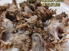 -东极岛景区
